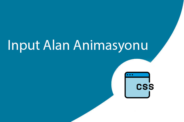 input alan animasyonu